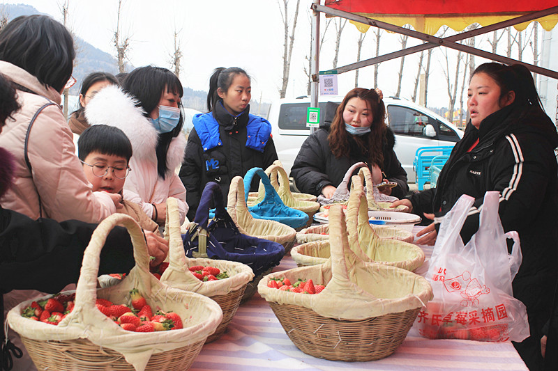 ��ݮ�h��c�´� | ���f�(zh��n)��ɽ�ڲ�ݮ��ժ��(l��)Ȥ���������w�(y��n)�e����ζ