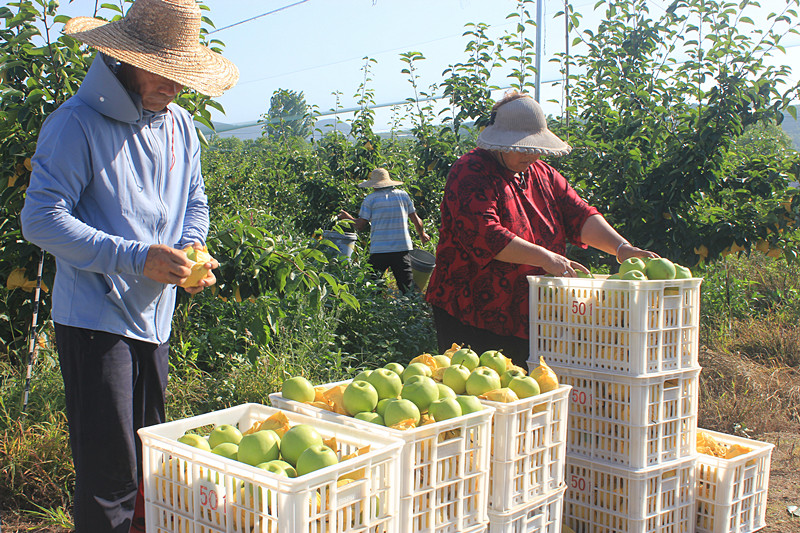 ��óԣ����Ѕ^(q��)ǰ�����@�����@������������